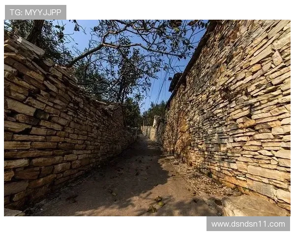 北京塞车开奖历史记录完整查询与回顾